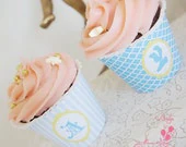 Cinderella Blue Princess ...