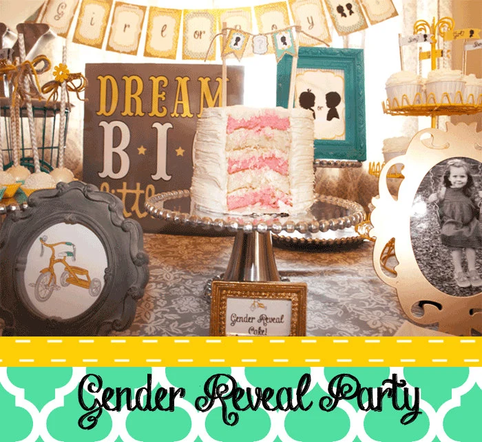 Gender Reveal Party Kit -...