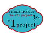 Visit thecsiproject.com
