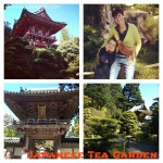 Nuove amicizie e nuovi posti: Santa Cruz, Japanese Tea Garden, Science Museum a San Francisco e Palo Alto!