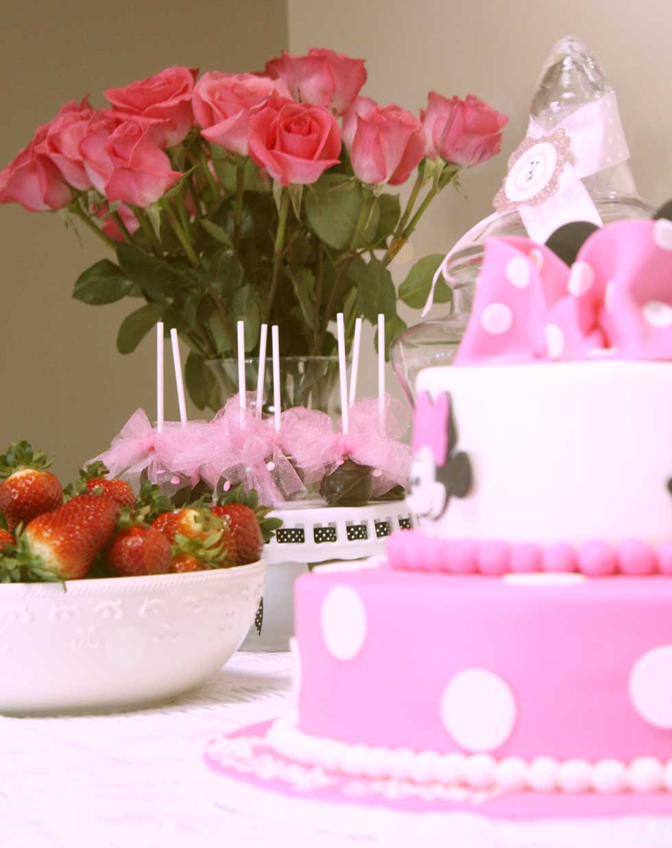 Festa Minnie Mouse
