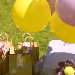 Spring Princess Party – sweet purple and yellow theme
