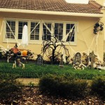 Halloween in San Francisco