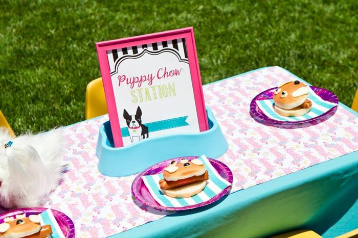 puppy-21