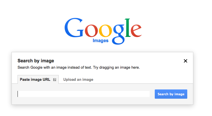 ricerca immagini google
