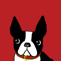 PetLover-TH