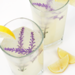 Limonata Lavanda e Limone
